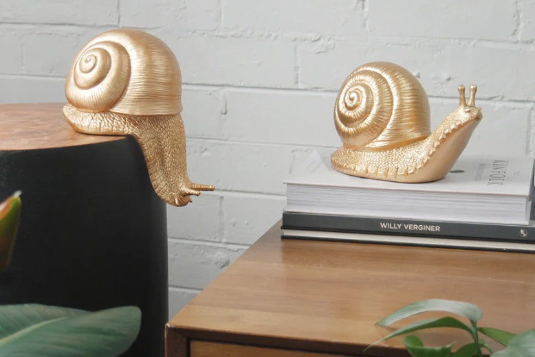 Snails styled with indoor plants