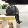 Shelf Snail - Black
