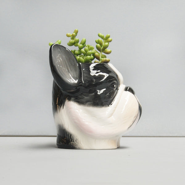 frenchie plant pot French Bulldog Planter – Ceramic Dog Pot by White Moose