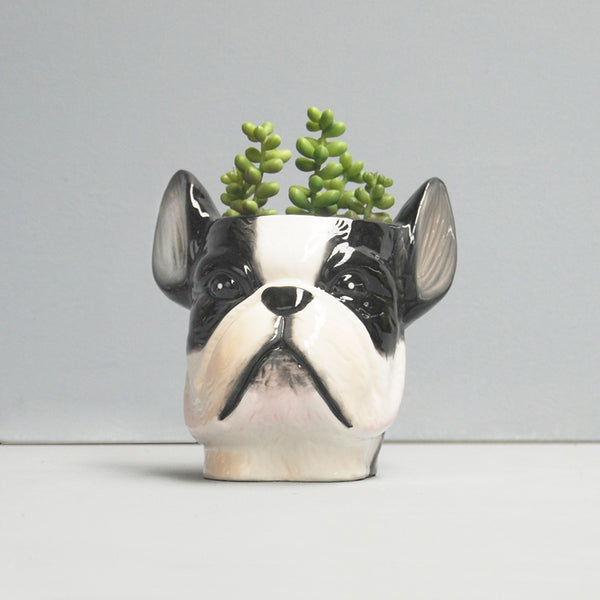 frenchie succulent planter French Bulldog Planter – Ceramic Dog Pot by White Moose