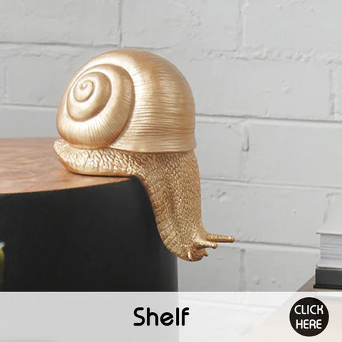 Designed for the shelf