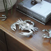 Decorative silver crab dish used as storage for coins and small items