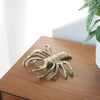 Sculptural gold lobster wall piece with hanger attached on back