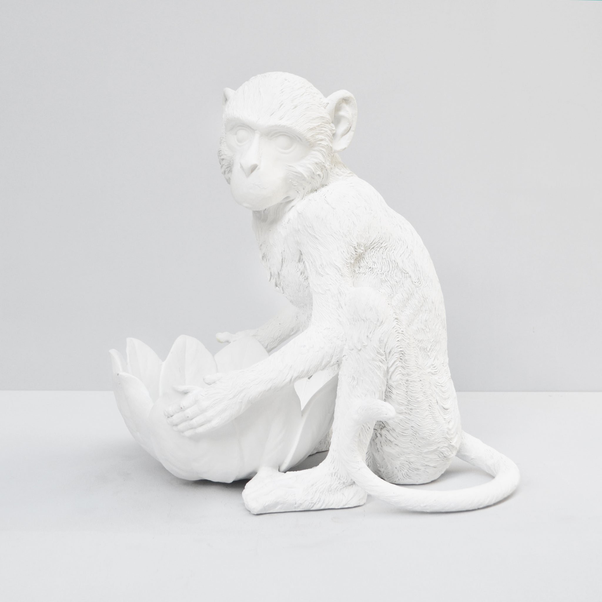 Monkey Bowl - White