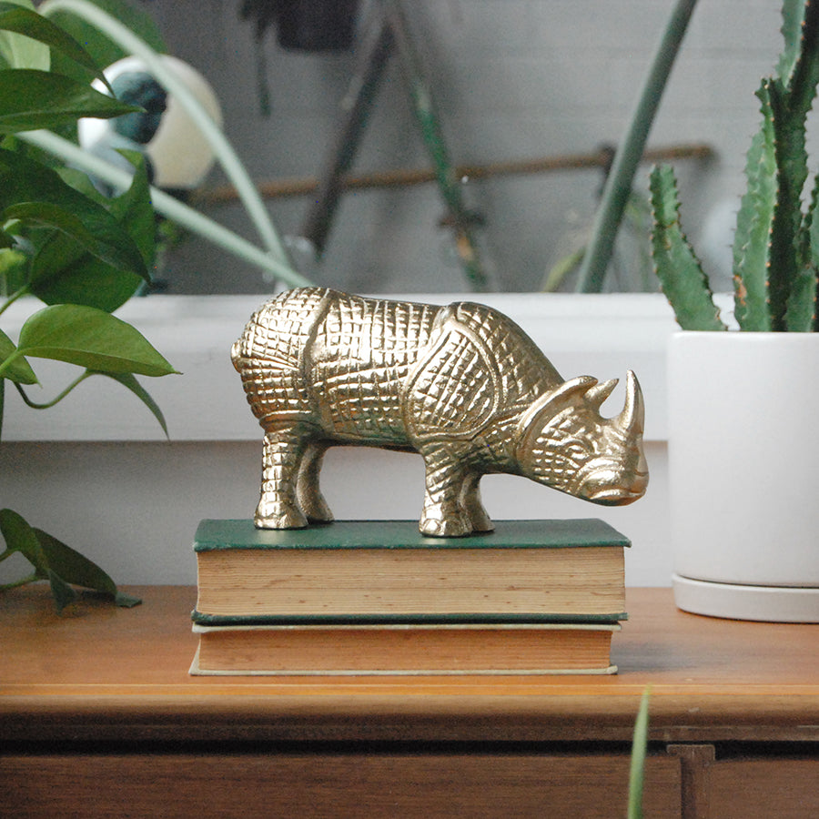 Gold rhinoceros figurine on books with plants in the background