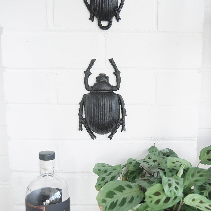 Matte black beetle décor sculpture mounted on white wall