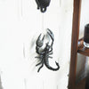 Black scorpion wall mount with textured body and reverse-side hanger