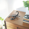 Metal scorpion wall décor hanging from built-in back hook