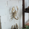 Metallic gold scorpion wall décor mounted on white brick wall