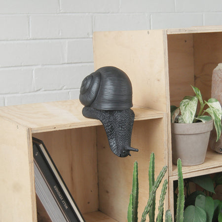 Black resin snail sculpture styled on wooden shelving with indoor plants
