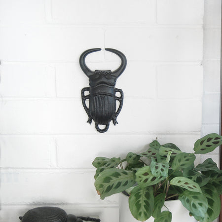 Black insect wall décor featuring large antlers and ridged body