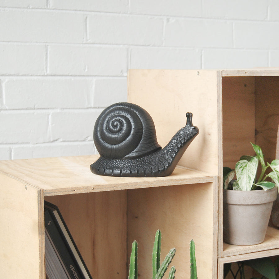 Side view of matte black snail sculpture in light-filled room with timber shelving
