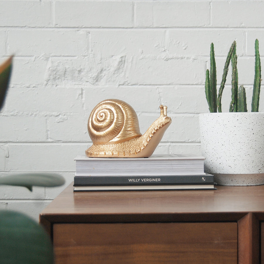 Gold resin snail sculpture styled on stacked books with cactus planter on timber cabinet
