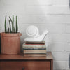 Table Snail - White