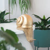 Sculptural gold snail used as quirky shelf styling accent with indoor plants nearby