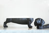 resin black dachshund decor dog with back removed to reveal secret bowl