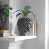 David Vase/Plant Holder - Black