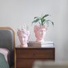 David Vase/Plant Holder - Pink