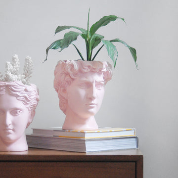 David Vase/Plant Holder - Pink