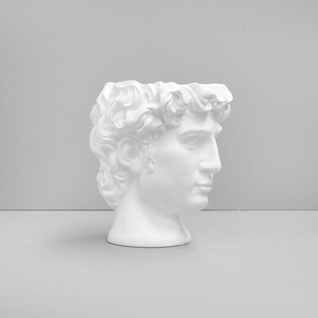 David Vase/Plant Holder - White