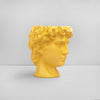 David Vase/Plant Holder - Yellow