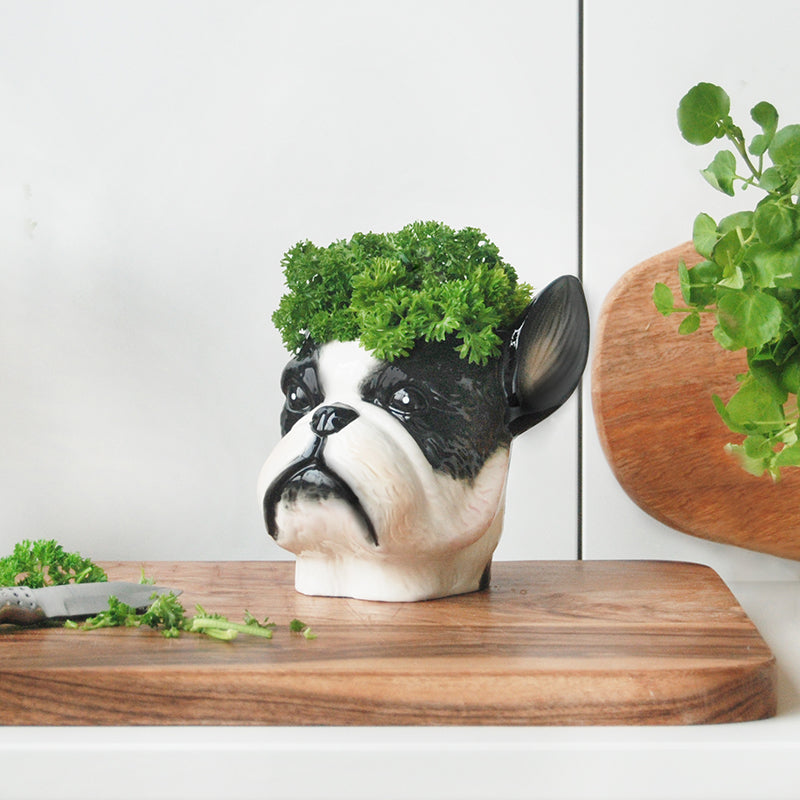 bulldog plant pot French Bulldog Planter – Ceramic Dog Pot by White Moose