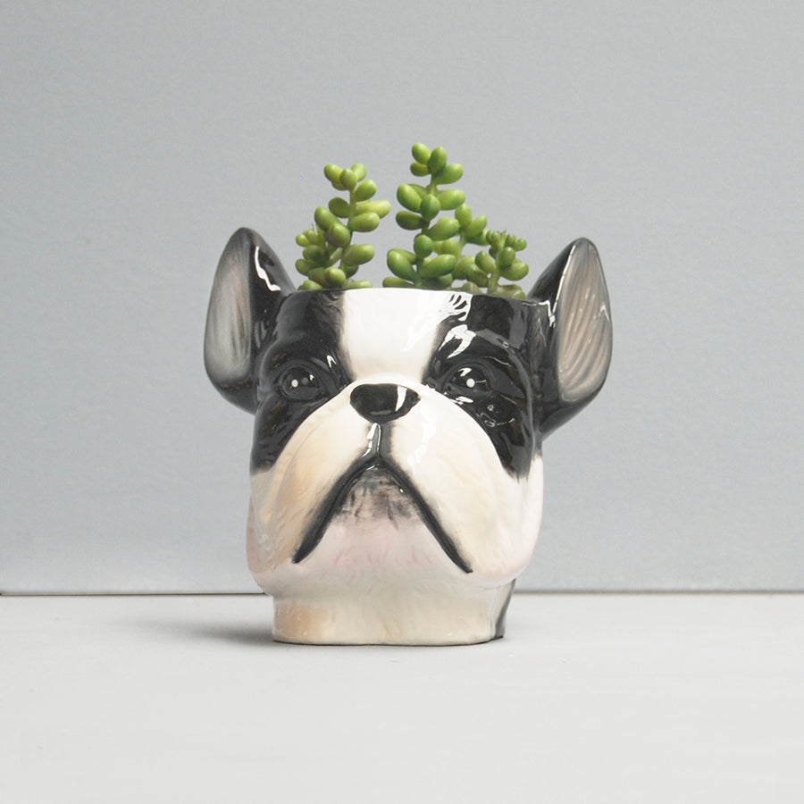 French Bulldog Planter – Ceramic Dog Pot by White Moose