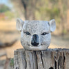 Ceramic koala planter with greenery styled in the Australian outback