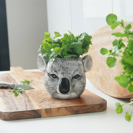 Ceramic koala planter with greenery styled on a wooden chopping board