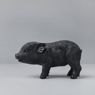 resin pig money box in black by White Moose for Kids Bedroom decor