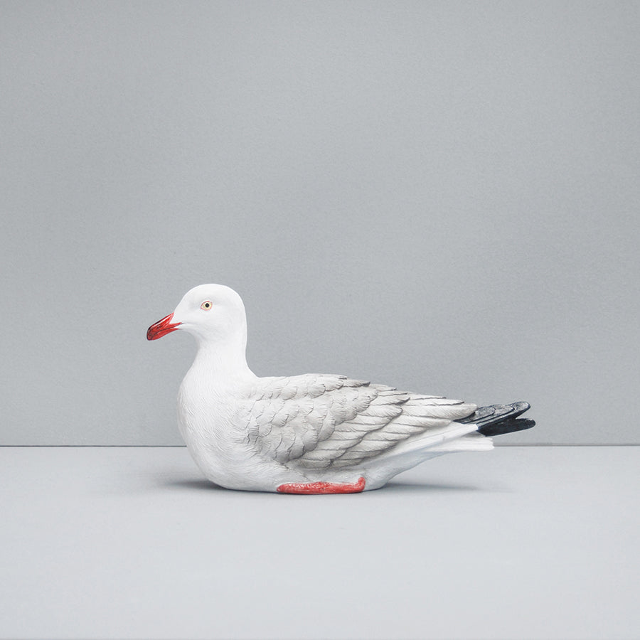 'Steven' the Seagull - Natural