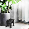 Pug peeing on indoor plant