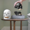 Matte black skull trinket box with gold tooth and open lid
