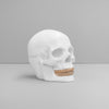 White skull decor piece with subtle gold detail for shelf styling