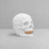 Skull Bowl - White/Gold