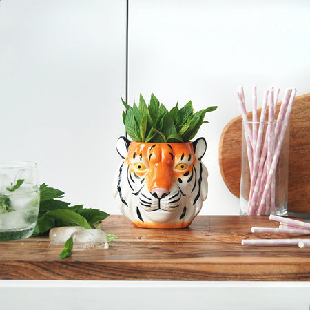Ceramic tiger head planter with fresh mint leaves styled on wooden bench