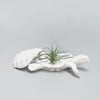 Novelty faux animal turtle design storage box from the White Moose homewares and home decor collection. 