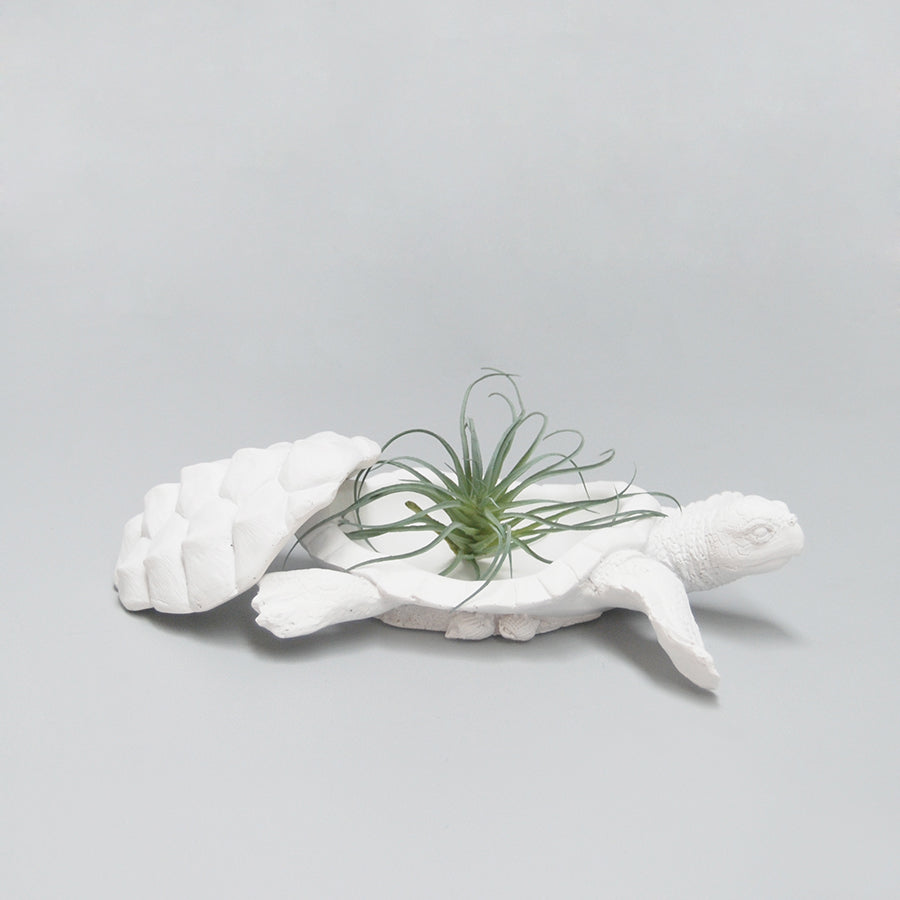 Novelty faux animal turtle design storage box from the White Moose homewares and home decor collection. 