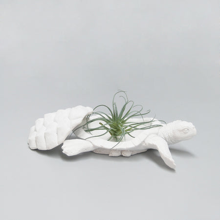 Novelty faux animal turtle design storage box from the White Moose homewares and home decor collection. 