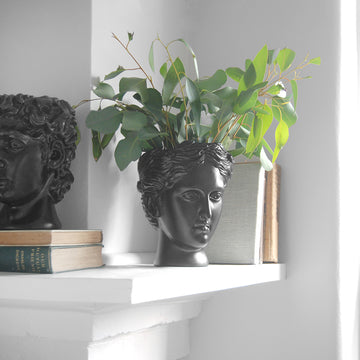 Venus Vase/Plant Holder - Black