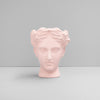 Venus Vase/Plant Holder - Pink