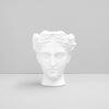 Venus Vase/Plant Holder - White