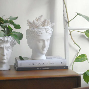 Venus Vase/Plant Holder - White