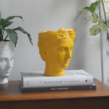 Venus Vase/Plant Holder - Yellow
